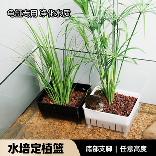 乌龟缸鱼缸水培植物盒固定器绿植隔离定植篮支架生态造景装饰配件