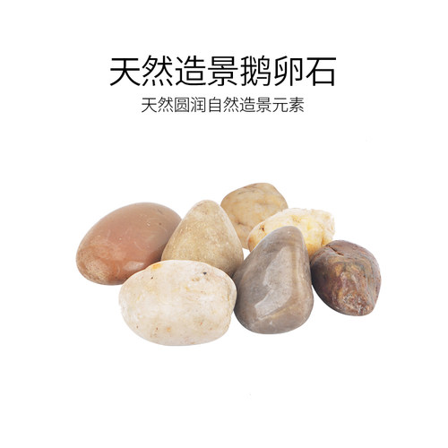 乌龟缸鱼缸生态造景鹅天然雨花石