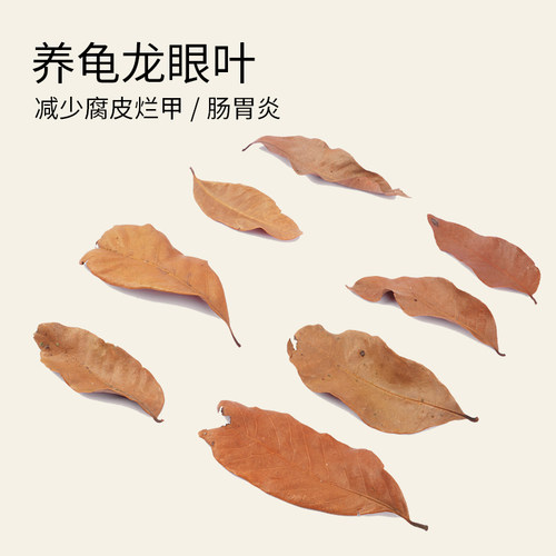 产地直采，改善水质，减少乌龟腐皮烂甲