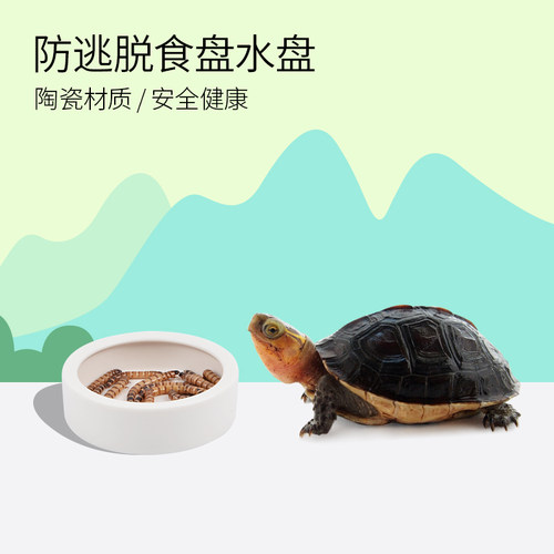 陶瓷材质，安全易清洗