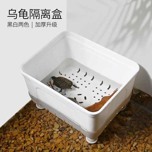 酷爬乌龟专用黑白发色隔离饲养盒