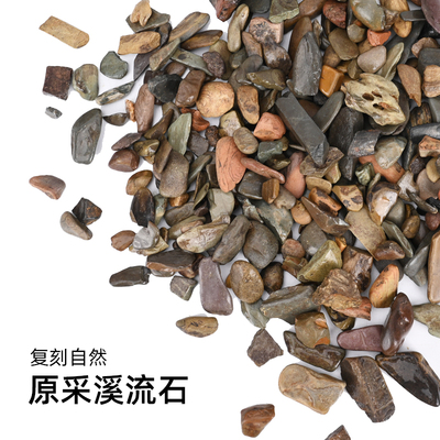 原生溪流沙雨林天然底沙装饰龟缸鱼缸水族箱雷龙粗细河沙铺底造景