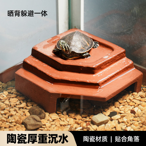 【官方推荐】：乌龟陶瓷躲避爬台