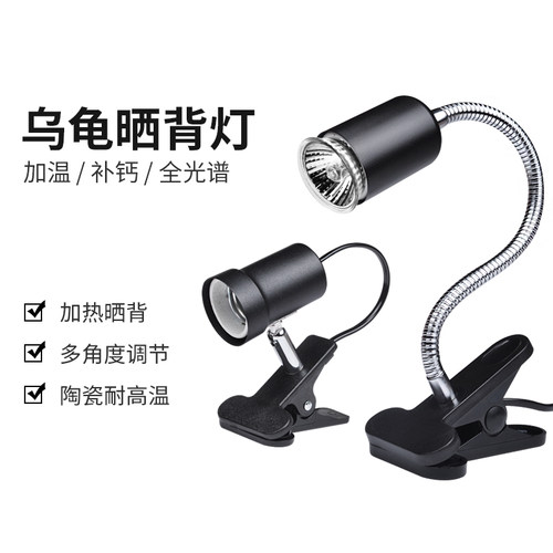 酷爬乌龟晒背杀菌补钙三合一爬宠