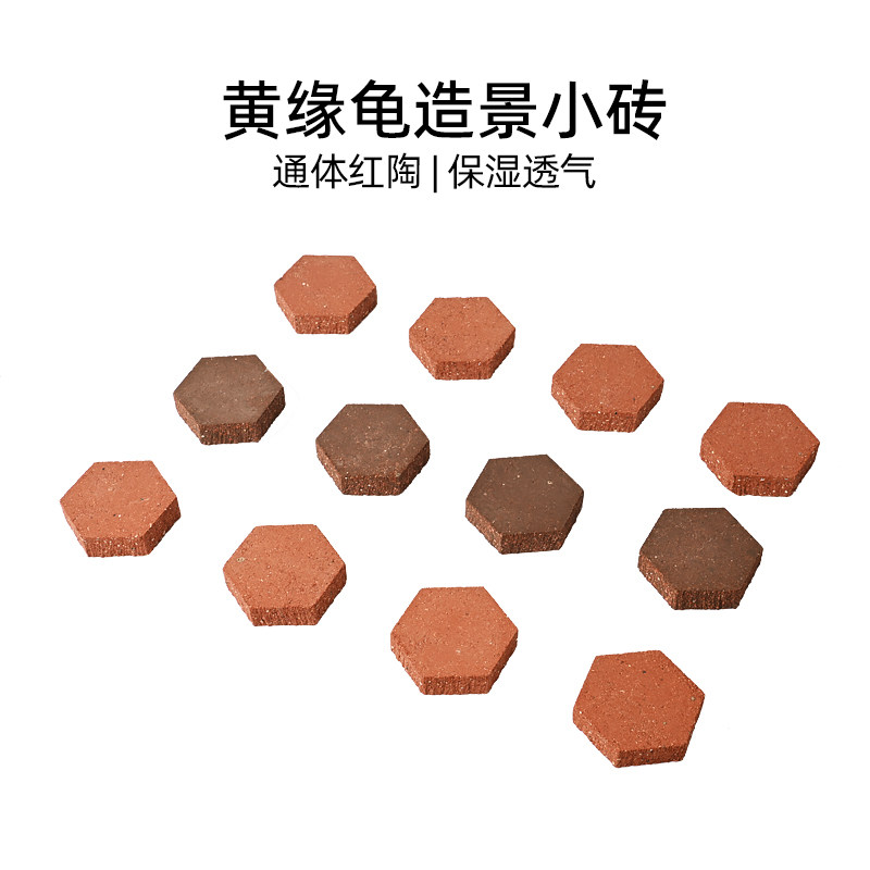 【官方推荐】黄缘乌龟造景地砖图片