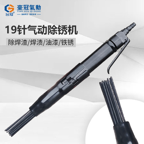 台冠风动除锈机19/12针