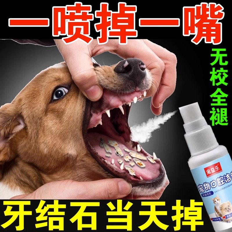 狗狗牙结石去除器效果好