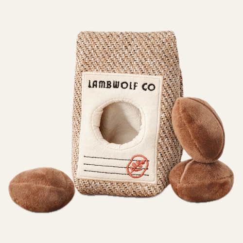 COFFEE BEANS 咖啡豆｜藏食丰容｜嗅闻探索
