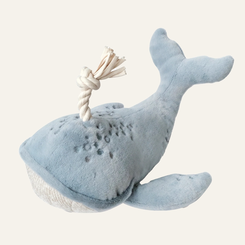 WALLY THE WHALE 鲸鱼瓦利｜狗狗发声玩具｜拉扯耐玩