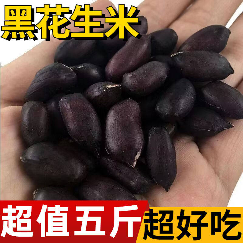 精品黑花生米新货山东特产黑花生果子带壳黑花生批发煮粥商用家用