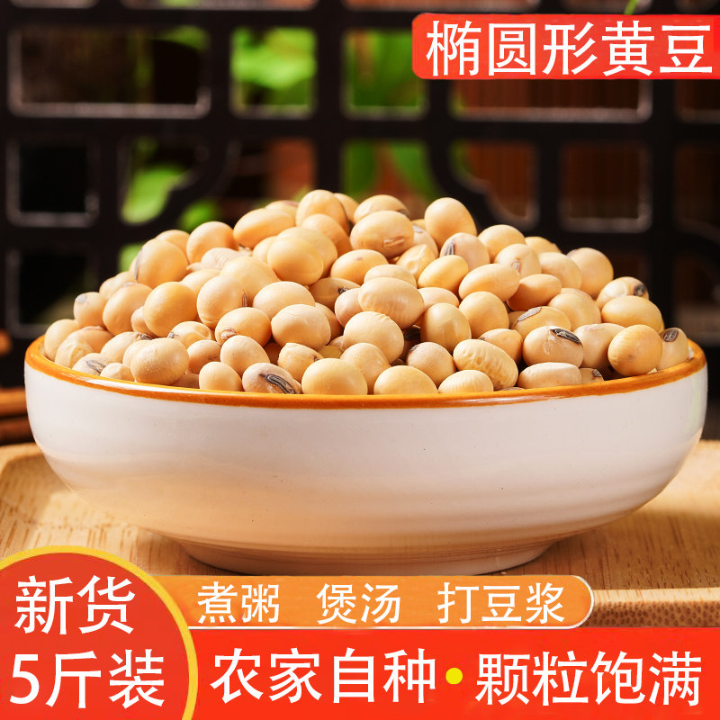 精选新货5斤笨黄豆椭圆黄豆大粒黄豆煮粥煲汤打豆浆五谷杂粮包邮