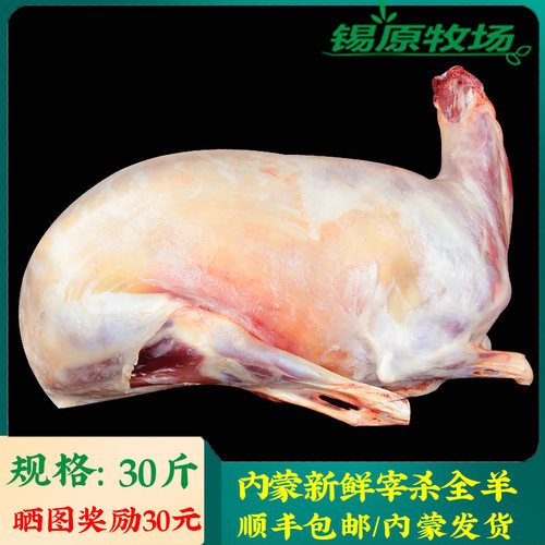 牧场内蒙白条整只腔子30斤烤全羊