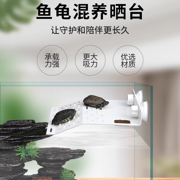 乌龟缸晒台爬台家用龟缸造景休息平台龟爬坡深水浮台生态小型鱼缸