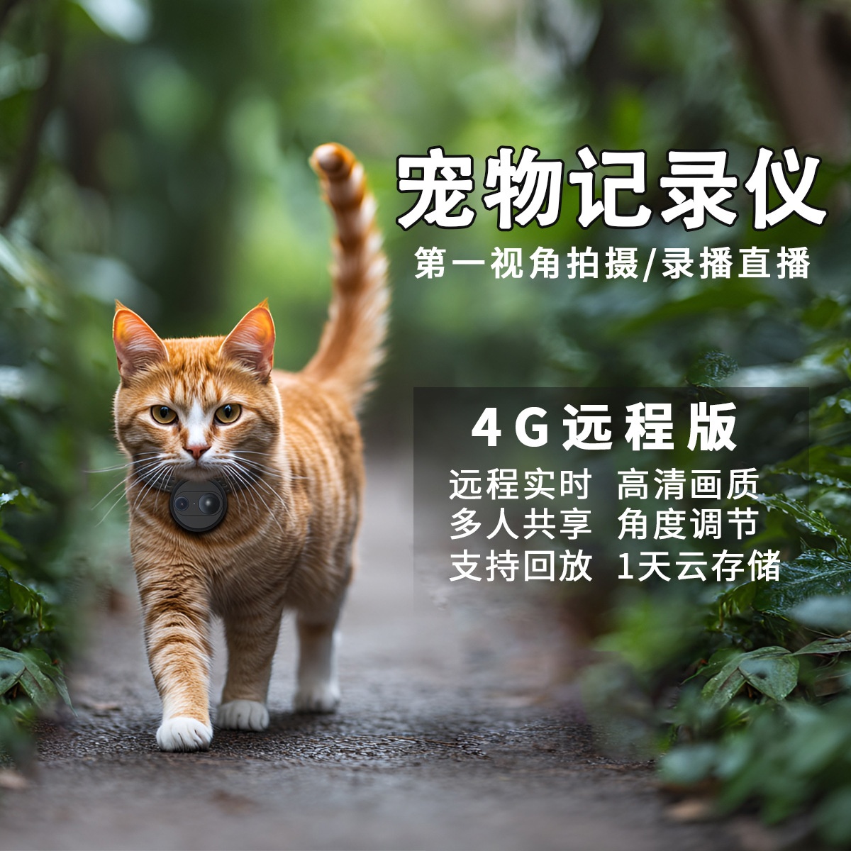 4G远程实时猫狗宠物视角摄像头挂脖记录仪监控直播智能项圈背带