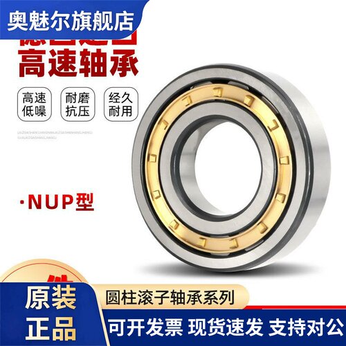 德国圆柱滚子轴承NU NJ303 304 305 306 307 308 309 310EM.1-TVP