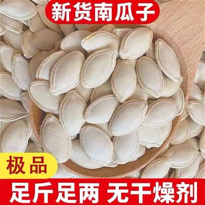 正宗内蒙新货生南瓜子大颗粒饱满南瓜籽仁无添加纯晾晒日照净重发