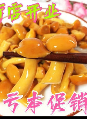 东北特产蘑菇长白山野山菜新鲜清水滑子菇草八珍菇食用涮爆炒煲汤