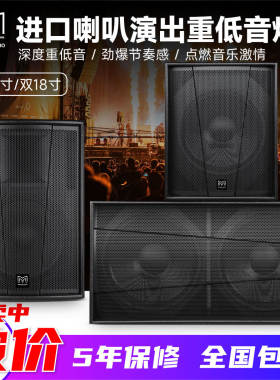 玛田S218进口喇叭重低音
