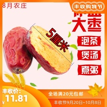 特产 8月农庄新疆大枣非若羌红枣非特级一级补血和田骏枣枣子5斤装
