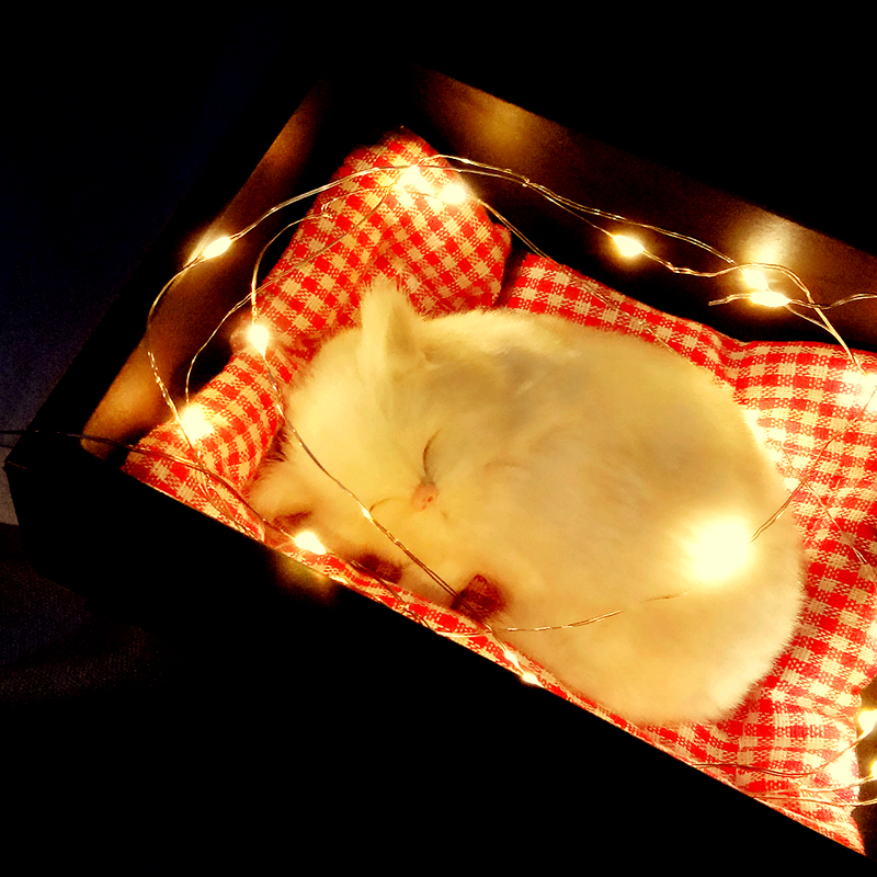 咪送女孩闺蜜男朋友创意新年情人节仿真猫ins超火生日礼物品实|ruв категории фестиваль товаров/подарок, Другие фестивали товаров - от Buy2taobao.com для оказания профессиональной услуги покупки агента Taobao