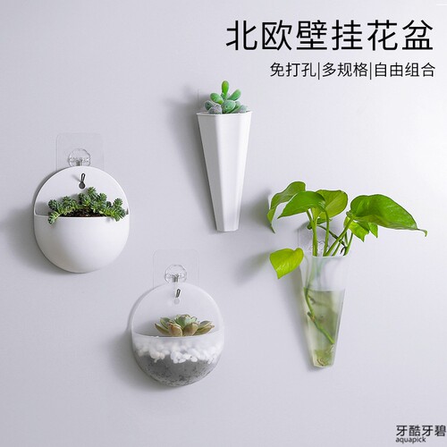 壁挂式透明花盆价格 壁挂式透明花盆图片 星期三