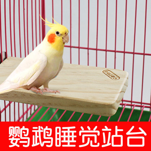 鹦鹉睡觉站台休息原木平台舒适
