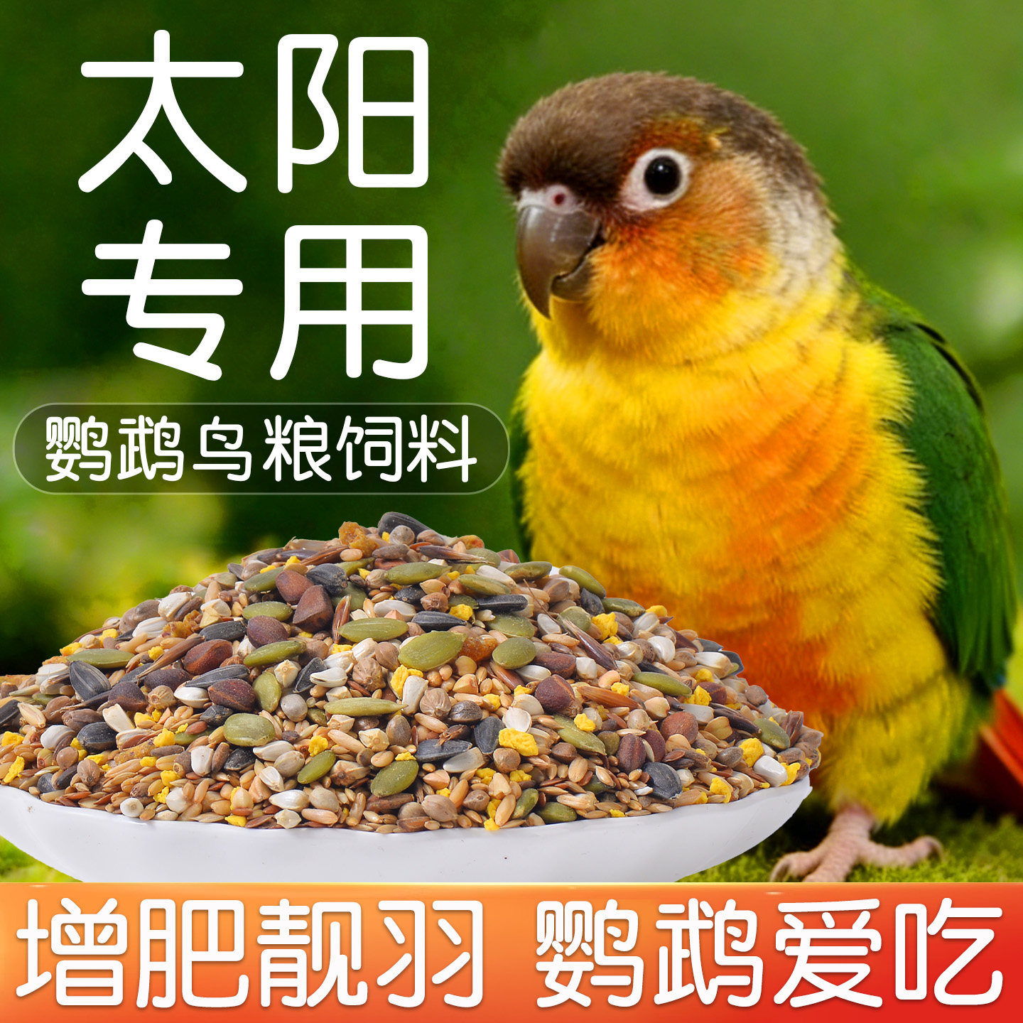 小太阳鹦鹉鸟粮专用粮食饲料营养鸟食五谷杂粮零食增肥混合型种子,宠物/宠物食品及用品,鸟食,淘宝优惠券,粉丝福利购,淘宝优惠卷