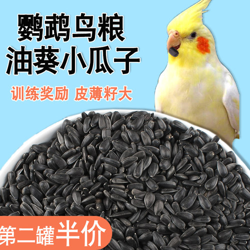 鹦鹉专用油葵瓜子黑珍珠鸟粮饲料