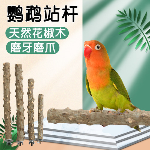 鹦鹉站杆花椒木八哥玄凤专用磨爪