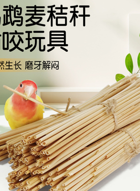 玄凤牡丹鹦鹉啃咬玩具麦秆磨牙磨嘴专用天然小麦秸秆解闷自嗨用品