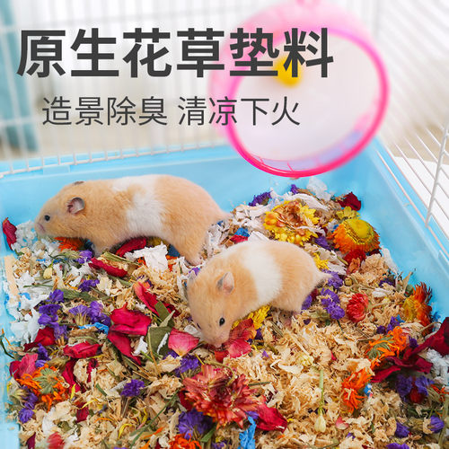 贝贝窝仓鼠金丝熊花草垫料木屑
