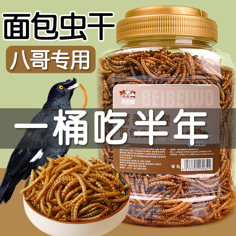 八哥面包虫干鹦鹉珍珠鸟吃的虫子专用营养饲料训练奖励零食鸟食物