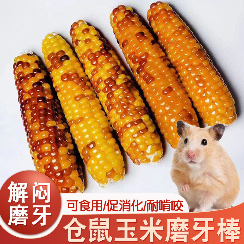 金丝熊仓鼠玉米口粮磨牙棒可食用零食物神器解闷玩具五谷杂粮用品