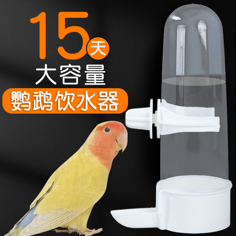 鹦鹉饮水器鸟用自动喝水器