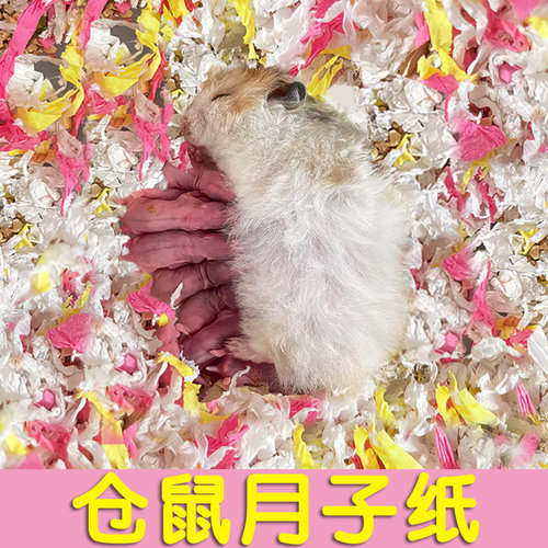 仓鼠月子纸保暖纸棉垫料