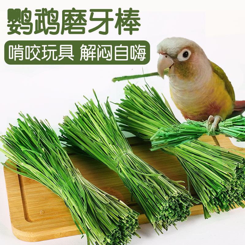 鹦鹉磨牙棒啃咬解闷磨牙健齿