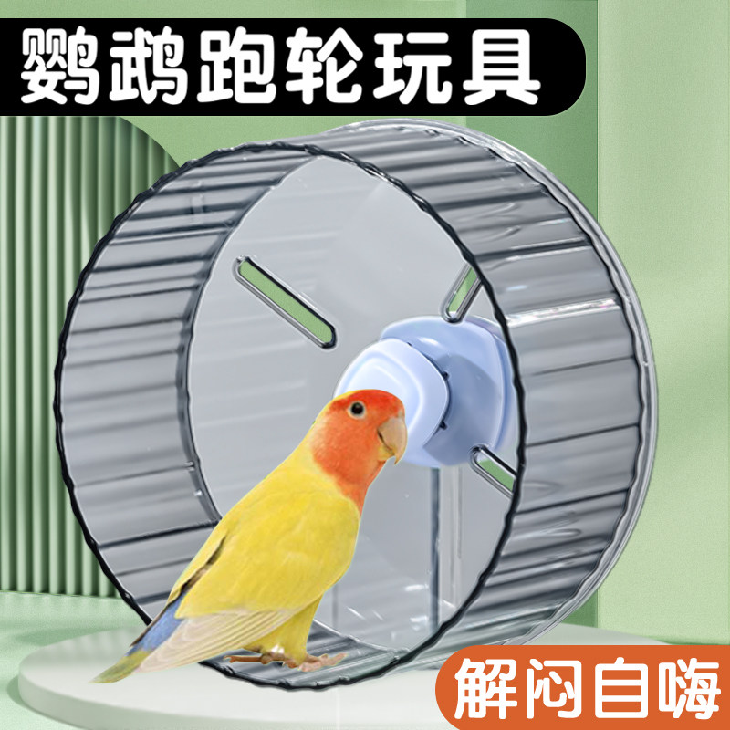 牡丹虎皮鹦鹉跑轮玩具小鸟解闷压自嗨益智转轮鸟类训练专用品大全,宠物/宠物食品及用品,鸟玩具,淘宝优惠券,粉丝福利购,淘宝优惠卷