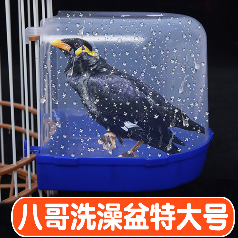 大型鹦鹉洗澡神器鸟笼沐浴用品