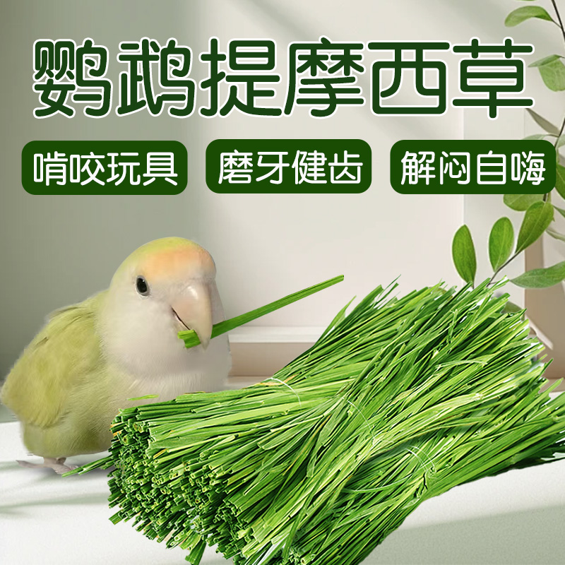 鹦鹉玩具解闷自嗨啃咬解闷磨嘴