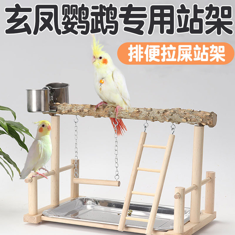 玄凤鹦鹉专用站架虎皮大型小鸟定点排便拉屎架子室内桌面花椒木杆
