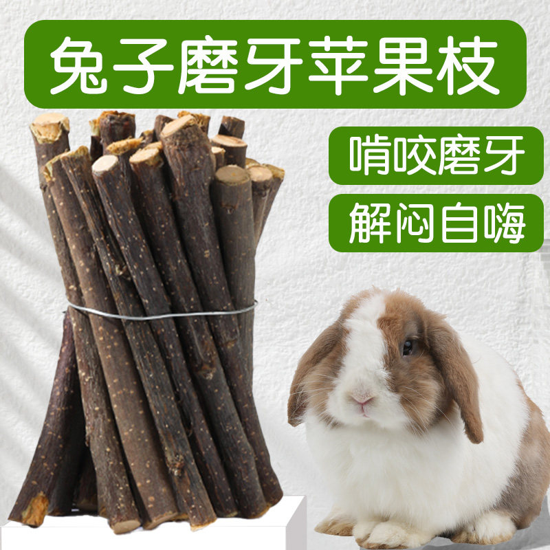 苹果枝兔子磨牙棒可食用啃咬玩具专用磨牙神器解闷荷兰猪用品大全,宠物/宠物食品及用品,兔兔磨牙,淘宝优惠券,粉丝福利购,淘宝优惠卷