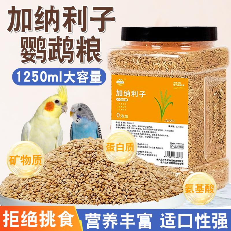 加纳利子鹦鹉鸟粮专用饲料