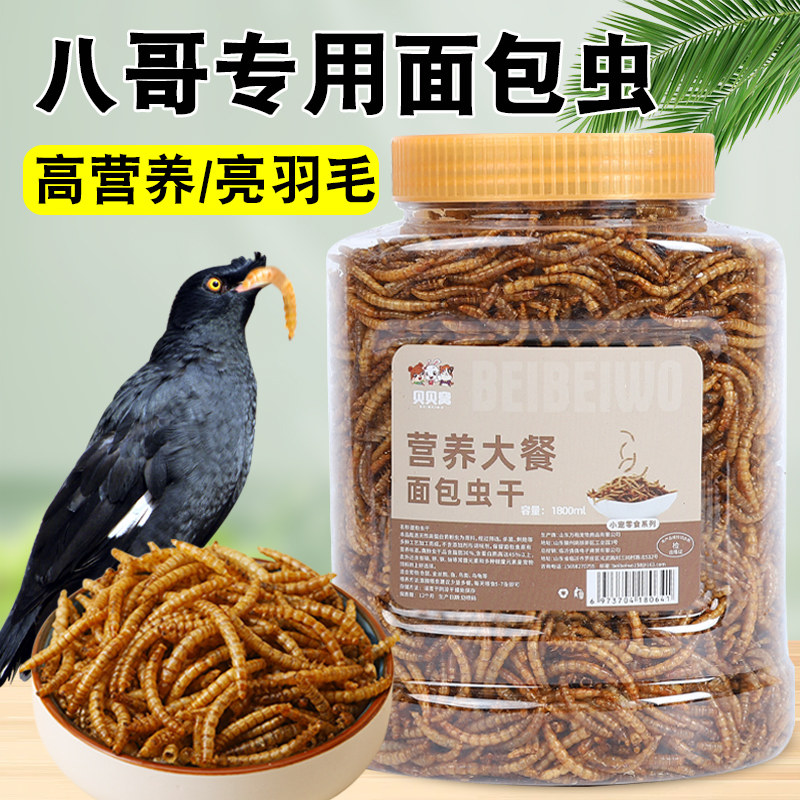 喂八哥专用面包虫干营养饲料粮食幼鸟零食物全价吃的虫子用品大全