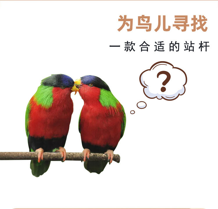 鸟笼用品站杆横杆塑料站杆虎皮鹦鹉八哥鹩哥画眉鸟用品站棍棒木制
