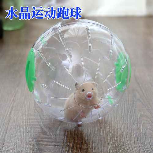 仓鼠玩具跑球滚轮运动龙猫金丝