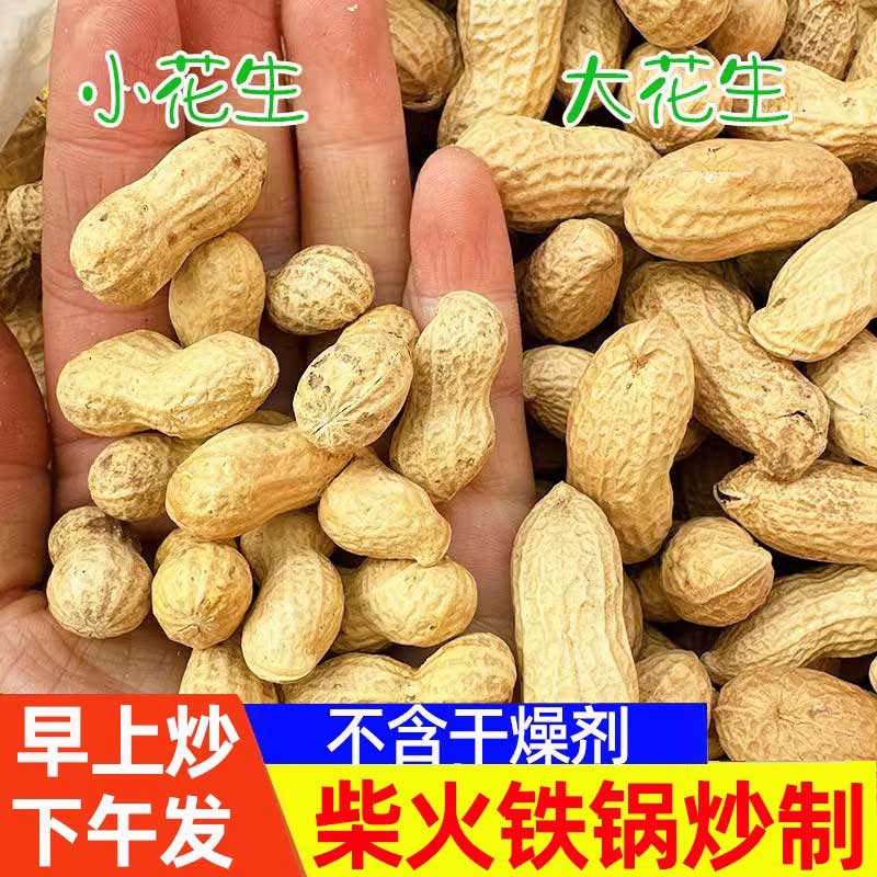 水煮瓜子花生带壳蒜香咸干多味花生散装10斤袋装发批炒货零食整箱