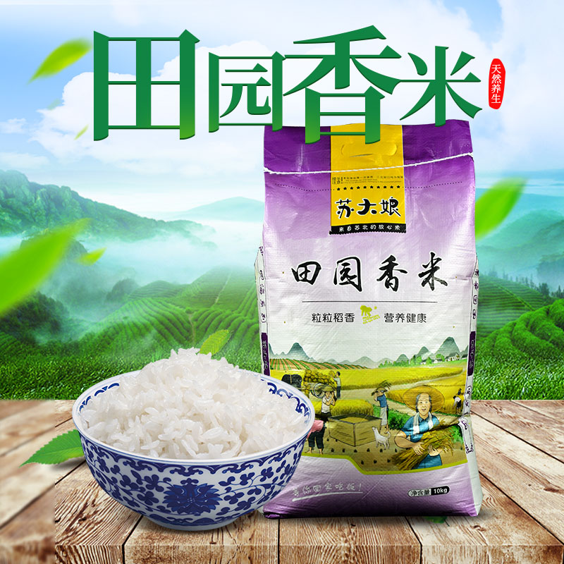 江苏20斤苏北10kg非东北大米新米