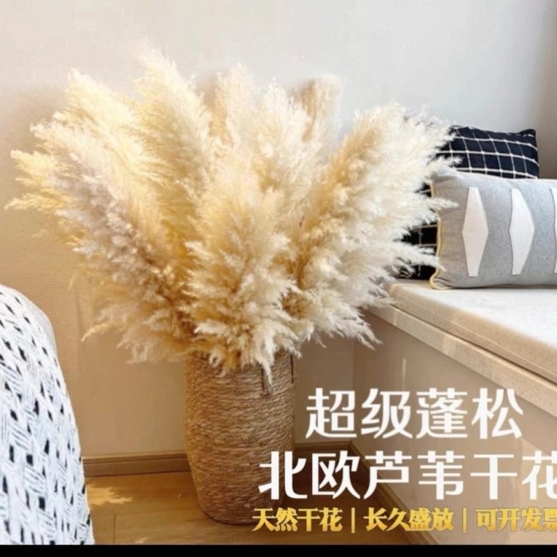 天然芦苇干花麦穗装饰大蒲苇落地