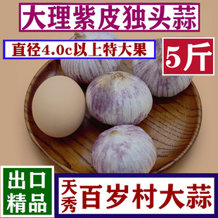 云南特大独头蒜新鲜紫皮大蒜5斤干蒜大蒜头红皮蒜独蒜大果紫皮蒜
