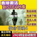 使命召唤4现代战争重置版 steam激活码 cdkey在线PC游戏入库兑换码